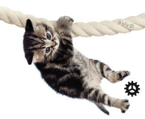 Cat Crossing Rope